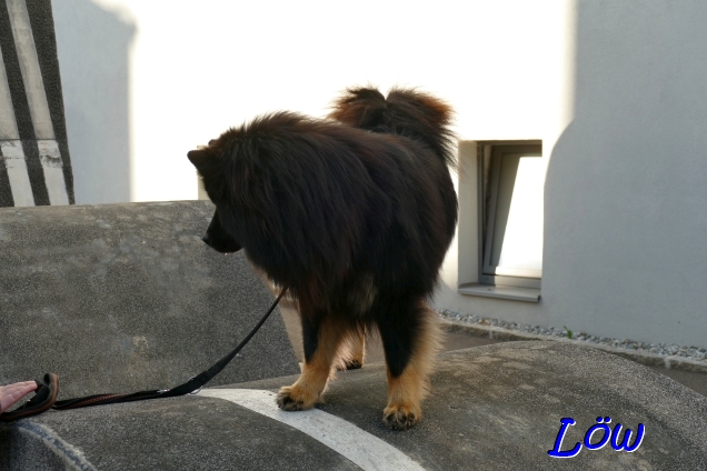 19.4.2025 - Wie komm ich wieder runter?